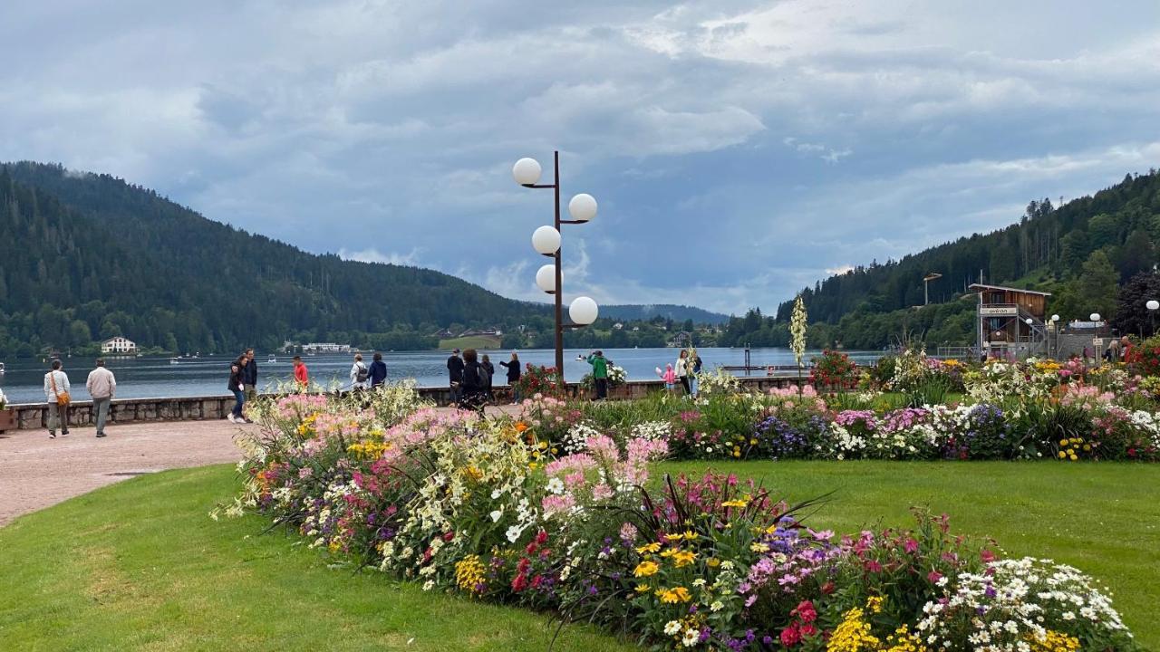 Cote Lac Gérardmer Εξωτερικό φωτογραφία